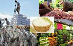 Xuất khẩu mất nghìn tỷ mỗi ngày, kịch bản mở cửa nên thế nào?