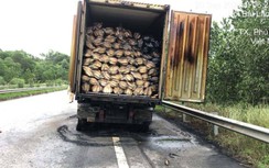 Xe container bốc cháy trên cao tốc Nội Bài - Lào Cai, tài xế thoát chết