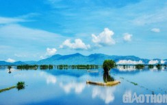 Mùa nước nổi chưa về, ngư dân khổ vì dịch lại khó vì cá tôm ít ỏi