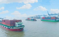 Cảng vụ đường thủy được cấp phép cho tàu thuyền tại cảng biển