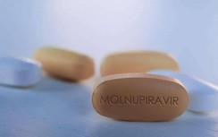 Bộ Y tế yêu cầu TP.HCM điều tra vụ bán thuốc điều trị Covid-19 giá cao