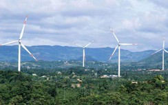 Sẽ trình Thủ tướng vấn đề giá FIT những dự án điện gió chậm tiến độ