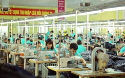 Người lao động cần làm gì để hưởng hỗ trợ Quỹ BH thất nghiệp nhanh nhất?