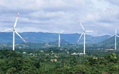 Kiến nghị đánh giá tổn thất dự án điện gió chậm tiến độ bởi dịch Covid-19