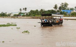 Hậu Giang cho bến đò nội tỉnh hoạt động trở lại