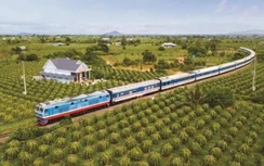 Cục Đường sắt xin ý kiến địa phương để chạy tàu khách từ ngày 7/10