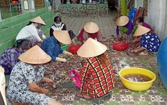 Người dân Bạc Liêu góp gạo, cá chăm người ở xa về quê đang cách ly