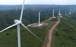 Nhà đầu tư điện gió ngồi trên lửa