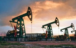 Giá xăng dầu hôm nay 12/10: Treo mức đỉnh