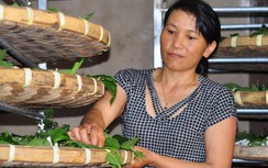 Giao thông tốt giúp người Tây Nguyên phát triển nghề truyền thống