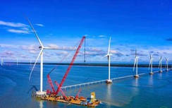 Loạt dự án điện gió nguy cơ chậm tiến độ, EVN tạo điều kiện nghiệm thu