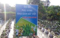 Cần làm rõ những bất thường từ dự án "Phủ xanh nha đam đất Việt"