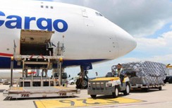 “Vua hàng hiệu” đề nghị Bộ GTVT hướng dẫn thủ tục lập hãng bay