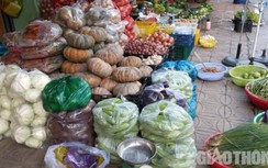 Cần Thơ: Giá rau cao gần ngang giá thịt heo hơi
