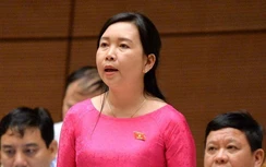 Đại biểu Quốc hội yêu cầu giải quyết dứt điểm vụ Hồ Duy Hải