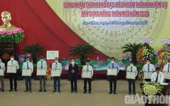 Bạc Liêu: Xây dựng nông thôn mới chú trọng phát triển hạ tầng giao thông