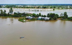 Mùa nước nổi về, người An Giang tranh thủ kiếm thu nhập bạc triệu