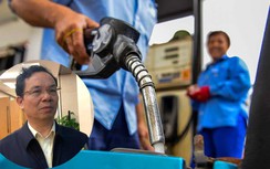 ĐBQH Hoàng Văn Cường: "Sốc" xăng dầu tăng cao, vận tải chịu khó khăn kép