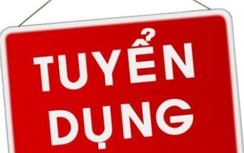Ban Quản lý các dự án Đường thủy thông báo tuyển dụng viên chức