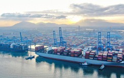 Đón cơ hội khi 3 cảng Việt Nam lọt Top 50 thế giới