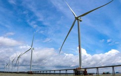 Việt Nam cần hỗ trợ công nghệ, tài chính cho cam kết Net Zero vào năm 2050