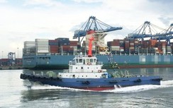 Phạt nặng doanh nghiệp hàng hải ký hợp đồng khác giá niêm yết