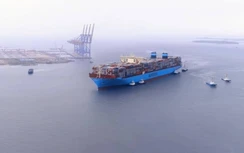 Hàng container qua cảng biển cửa ngõ giữ đà tăng trưởng