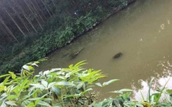 Hai chị em ruột đuối nước thương tâm dưới ao nước gần nhà