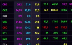 Doanh nghiệp bất động sản “bết bát", giá cổ phiếu vẫn tăng phi mã