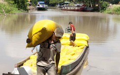 Cần liên kết đồng bộ, tạo đột phá giao thông thủy đồng bằng sông Cửu Long