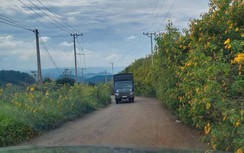 Giáo dân hiến đất mở đường, phát huy đời sống tốt đạo đẹp đời