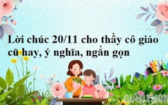 Lời chúc 20/11 ngắn gọn ý nghĩa dành cho thầy cô giáo năm 2021 hay nhất