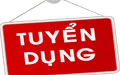 Viện Chiến lược và Phát triển giao thông vận tải tuyển dụng viên chức