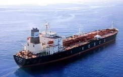 Cơ cấu đội tàu biển thay đổi ra sao sau 5 năm?