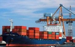 Tàu biển treo cờ nước ngoài do chủ tàu Việt sở hữu tăng gấp đôi sau 7 năm