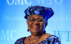 Tổng Giám đốc WTO bày tỏ ấn tượng thành tựu kinh tế-xã hội của Việt Nam