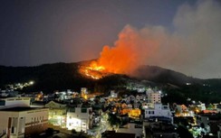 Công an, quân đội xuyên đêm dập đám cháy rừng ở TP Hạ Long