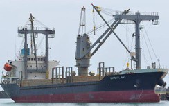 Khẩn cấp đưa 17 thuyền viên Việt Nam gặp nạn ở nước ngoài hồi hương
