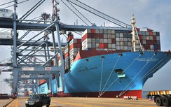 Giúp đội tàu Việt đủ sức cạnh tranh tàu ngoại