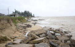 Quảng Ngãi: Sạt lở uy hiếp đường ven biển, "xóa sổ" hàng chục ngôi nhà