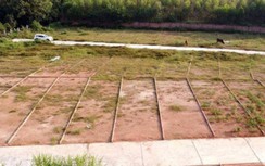 Vĩnh Phúc: Vụ ồ ạt làm đường, phân lô bán nền có nhiều sai phạm, khuất tất