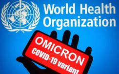 Thêm chi tiết cho thấy biến chủng Omicron lây lan rất nhanh