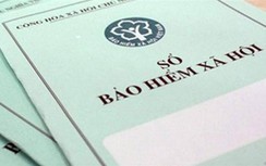Làm giả hồ sơ, nữ công nhân chiếm đoạt 30 triệu đồng trợ cấp thất nghiệp