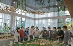 Nhà đầu tư “rót tiền” vào BĐS Ban Mê, EcoCity thành điểm sáng