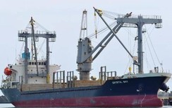 Bộ Ngoại giao thông tin về tình hình 18 thuyền viên Việt Nam gặp nạn