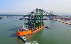 CMIT tiếp nhận siêu cẩu bờ nhằm tăng năng lực khai thác cảng nước sâu