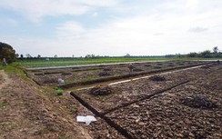 Cần Thơ: Dự án chưa đi qua, đã ùn ùn cơn "sốt" đất