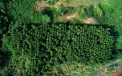 Masan High-Tech Materials khởi đầu hành trình bảo vệ khí hậu