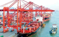 Truy nguyên nhân hàng hoá qua cảng biển Hải Phòng giảm mạnh
