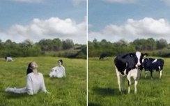 Công ty Hàn Quốc gây phẫn nộ vì coi phụ nữ như bò trong quảng cáo